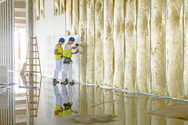 Best Cellulose Insulation in Glasco, NY